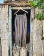 Swallows series pants - Image 6